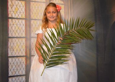 Date Fan Palms For Alter Decorations, Palm Sunday